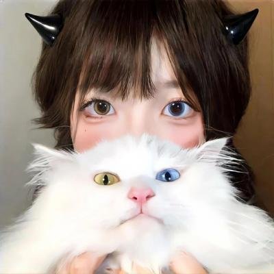 百词莫辩
