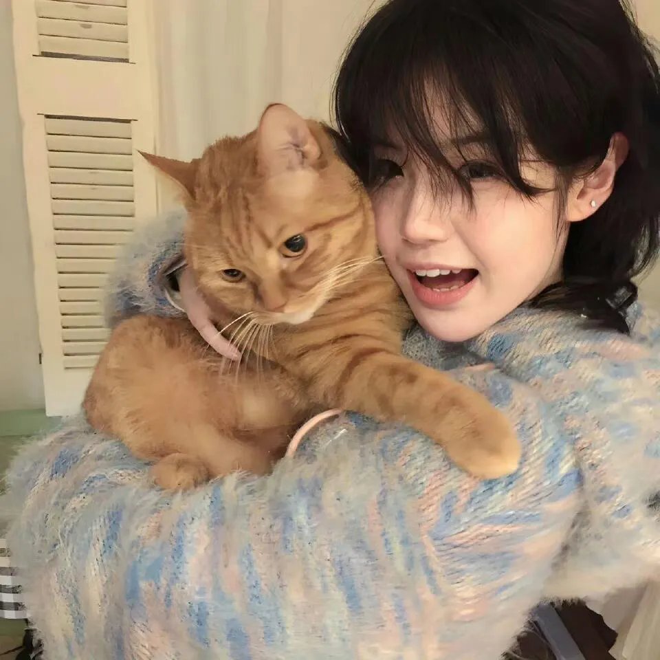 猛鬼校园